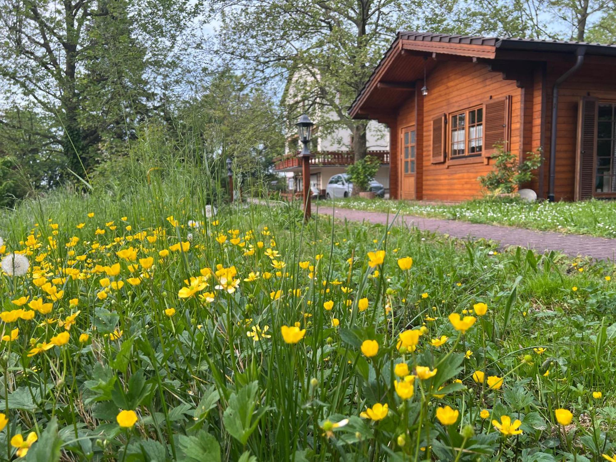 Landgasthof Gaensberg Wiesloch Exterior photo