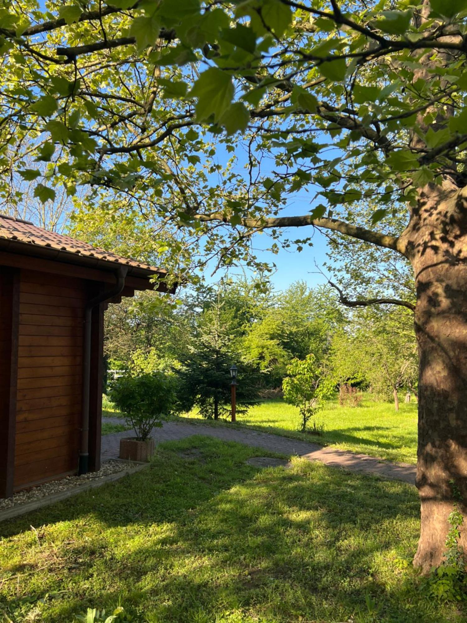 Landgasthof Gaensberg Wiesloch Exterior photo