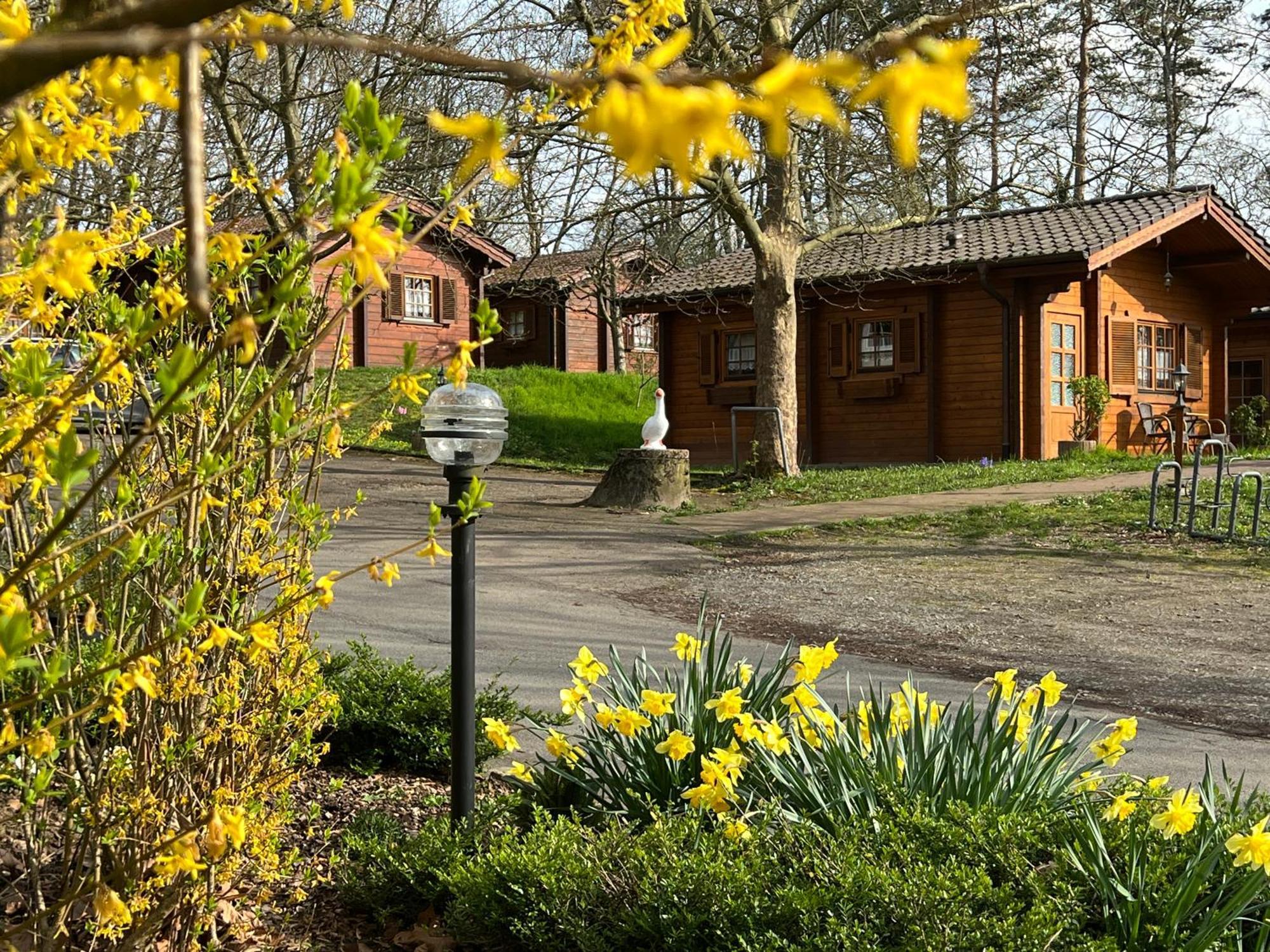 Landgasthof Gaensberg Wiesloch Exterior photo